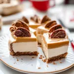 Spekulatius-Käsekuchen (ohne Backen)